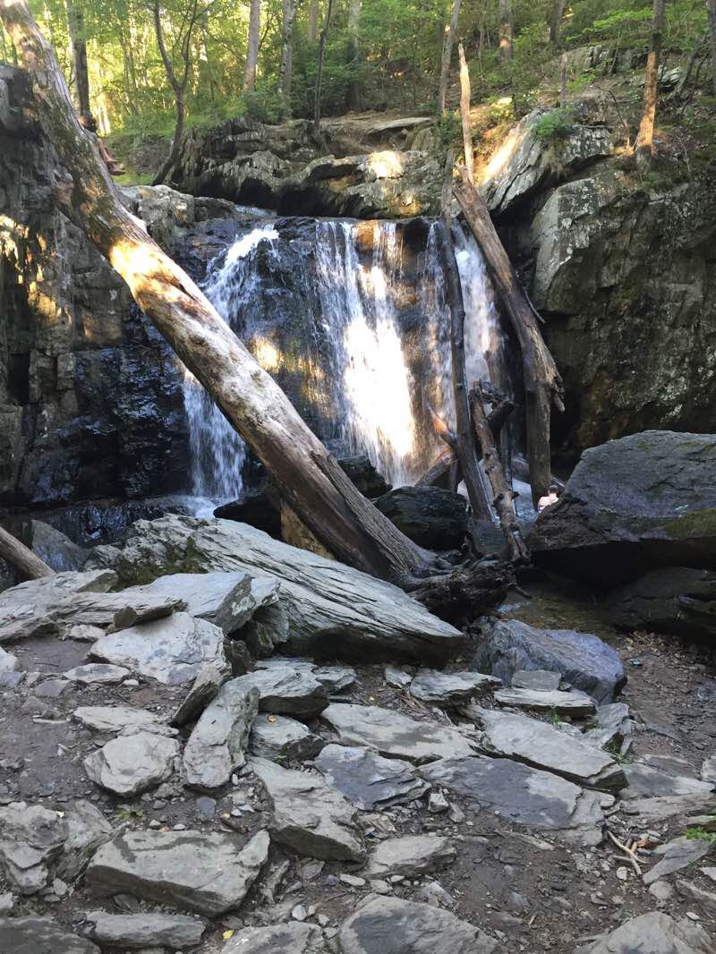 walking near me in Rocks State Park Falling Branch Area in winter