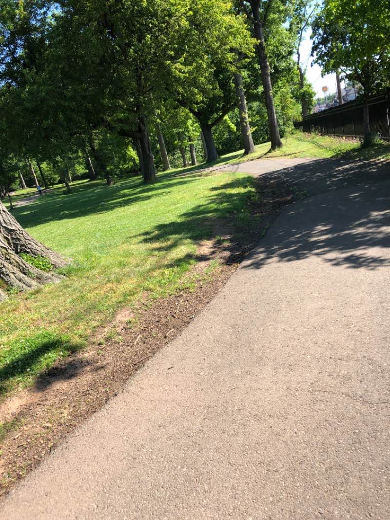walking near me in Wheeler Park in winter