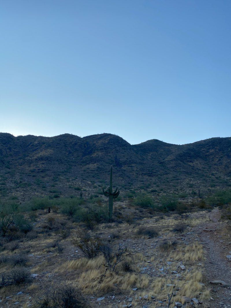walking near me in Phoenix Mountains Preserve in winter
