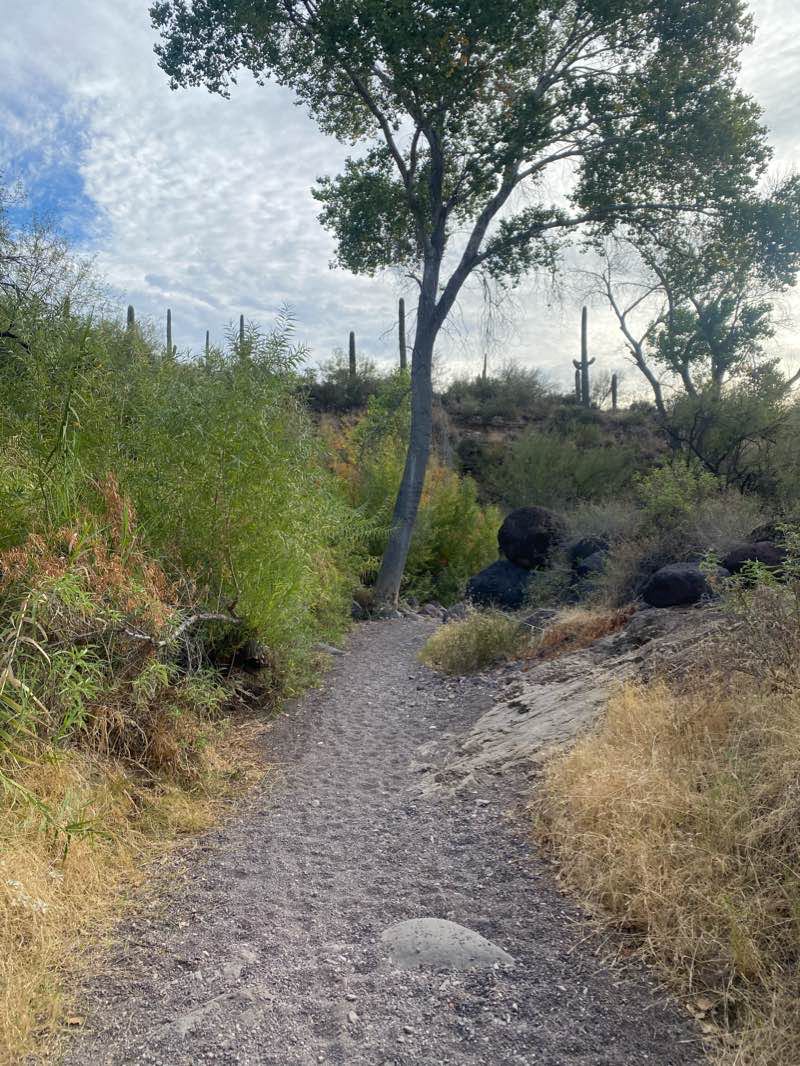 walking near me in Spur Cross Ranch Conservation Area in winter