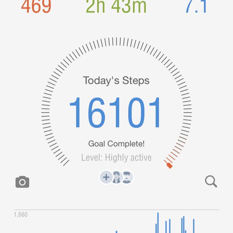 PupWalk post 2