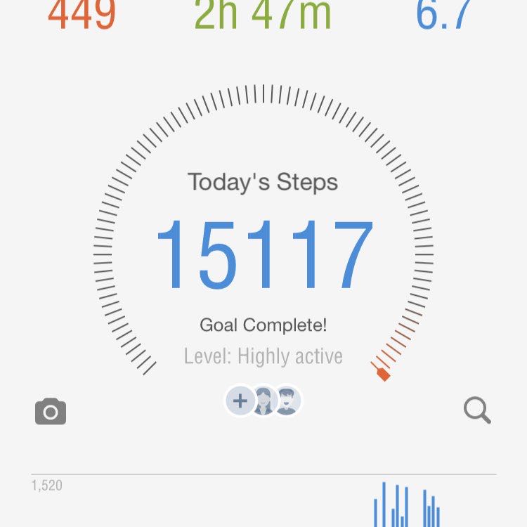 PupWalk post 1
