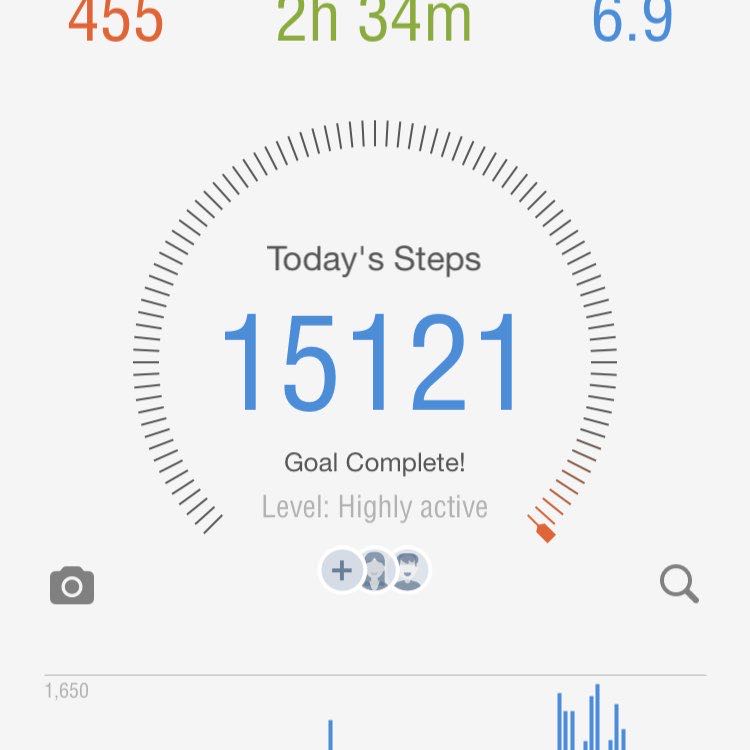 PupWalk post 3