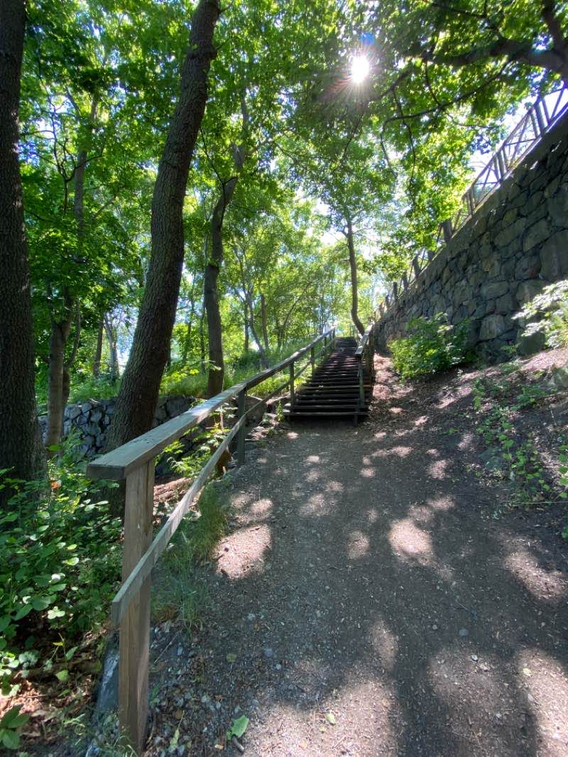 walking near me in Landstingsparken in winter