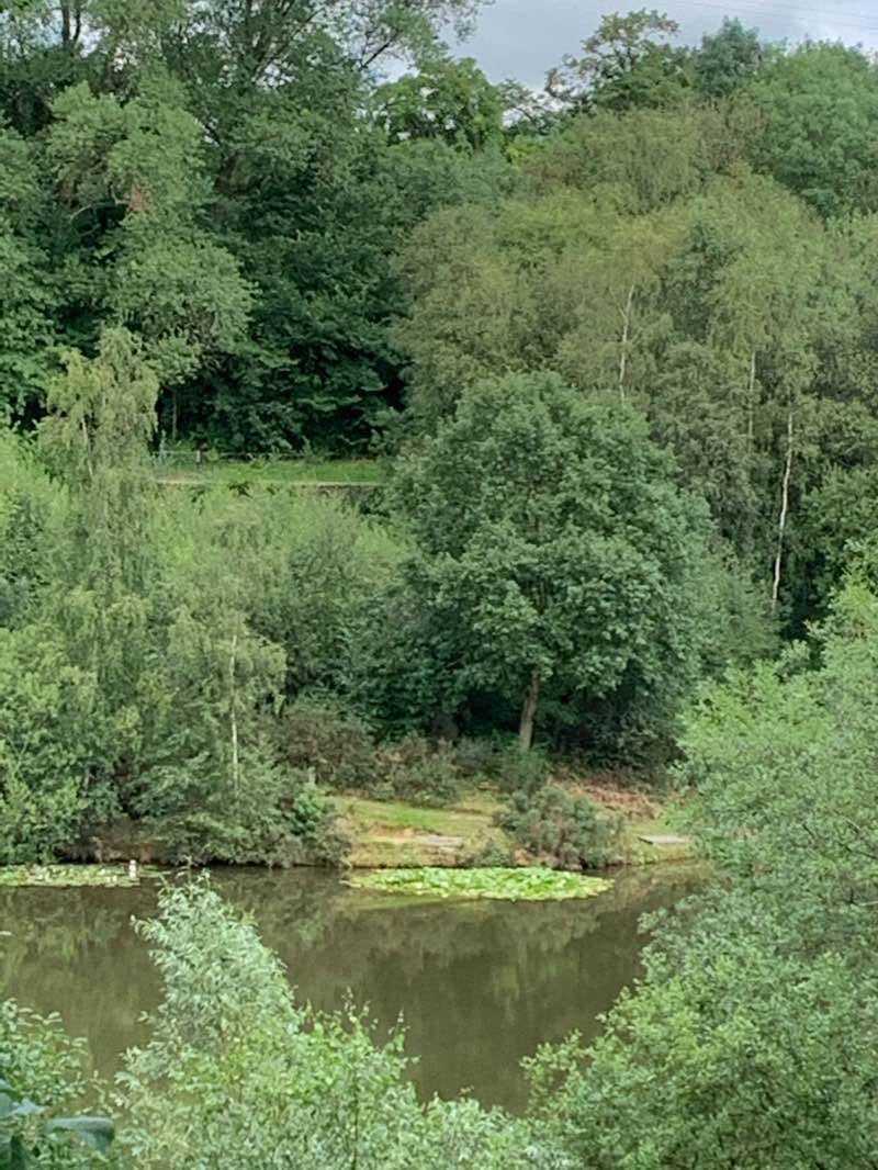 walking near me in Cedar Park in winter