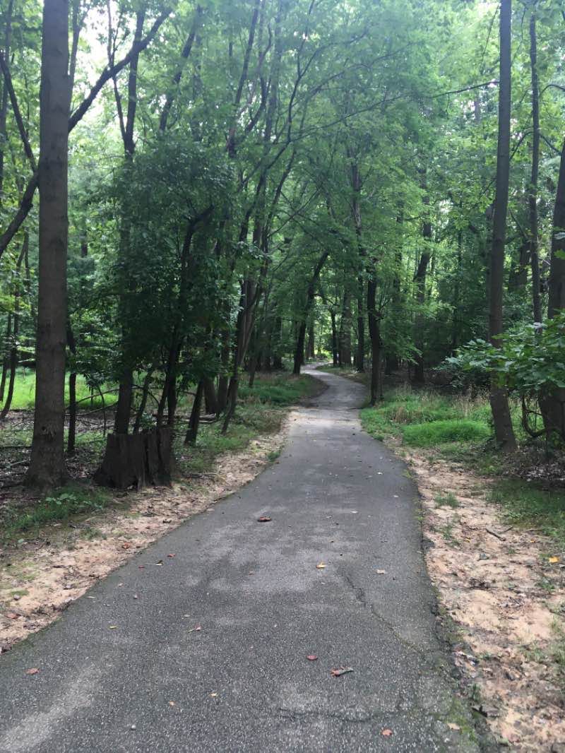 walking near me in Arcola Local Park in winter