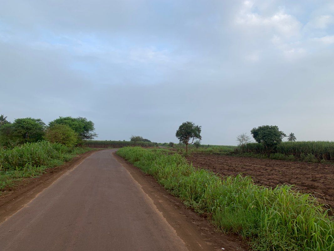 walking near me in Trikoni Bagh in winter