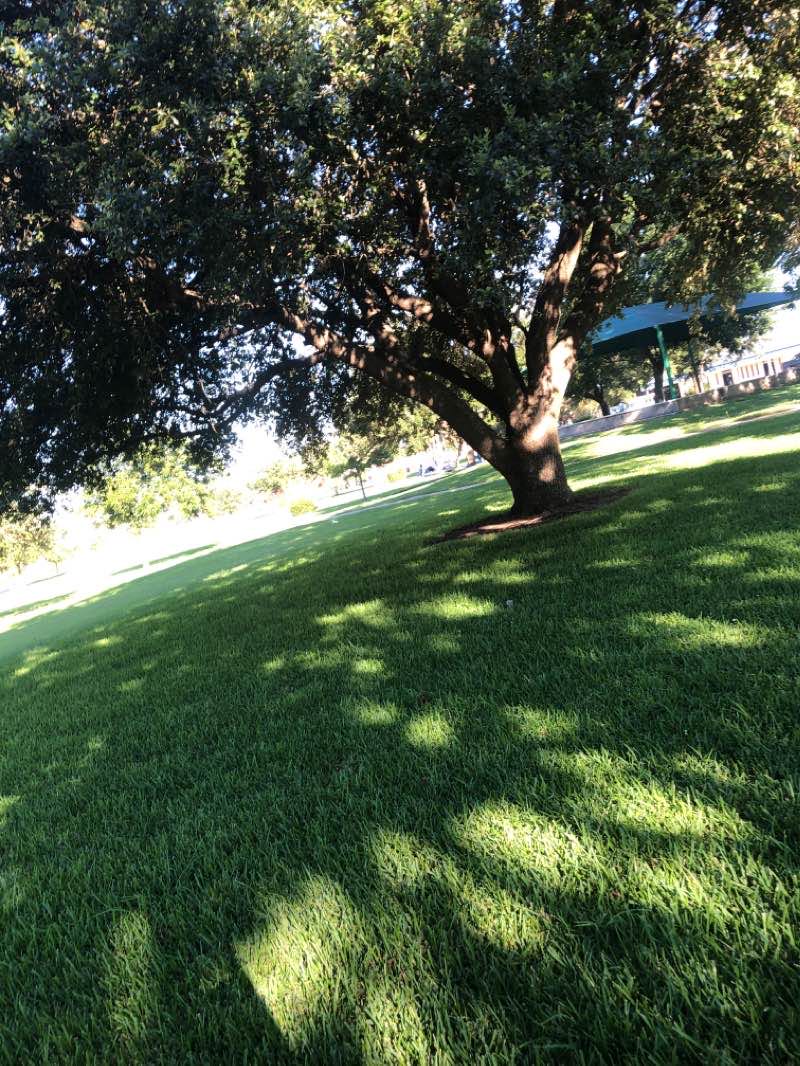 walking near me in Bicentennial Park in winter
