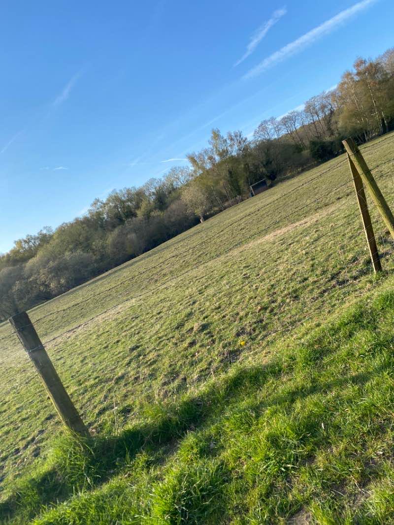 walking near me in Rough Park in winter