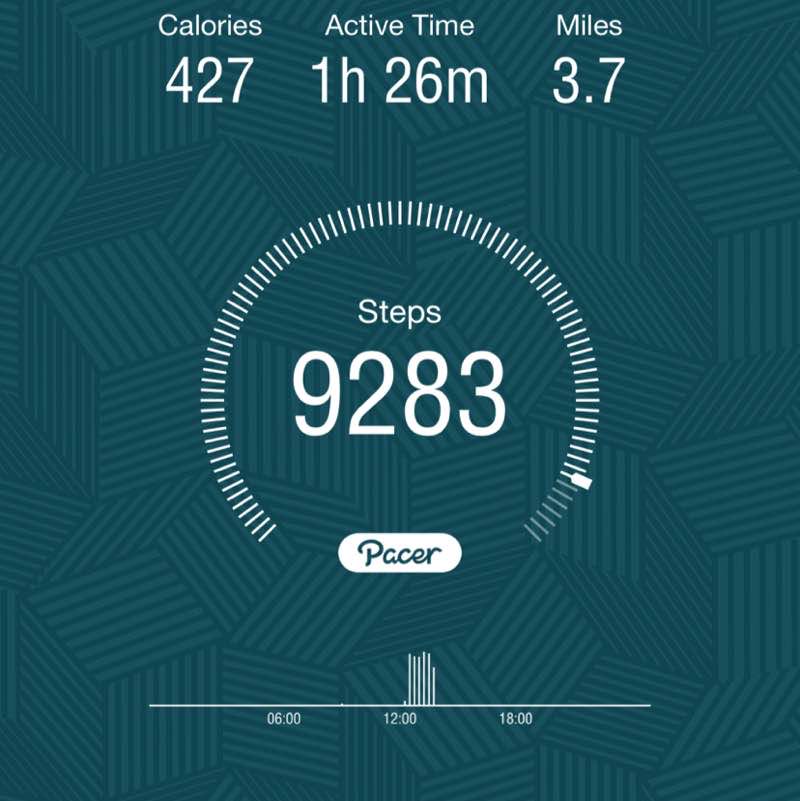 PacerGal_1995 post 1