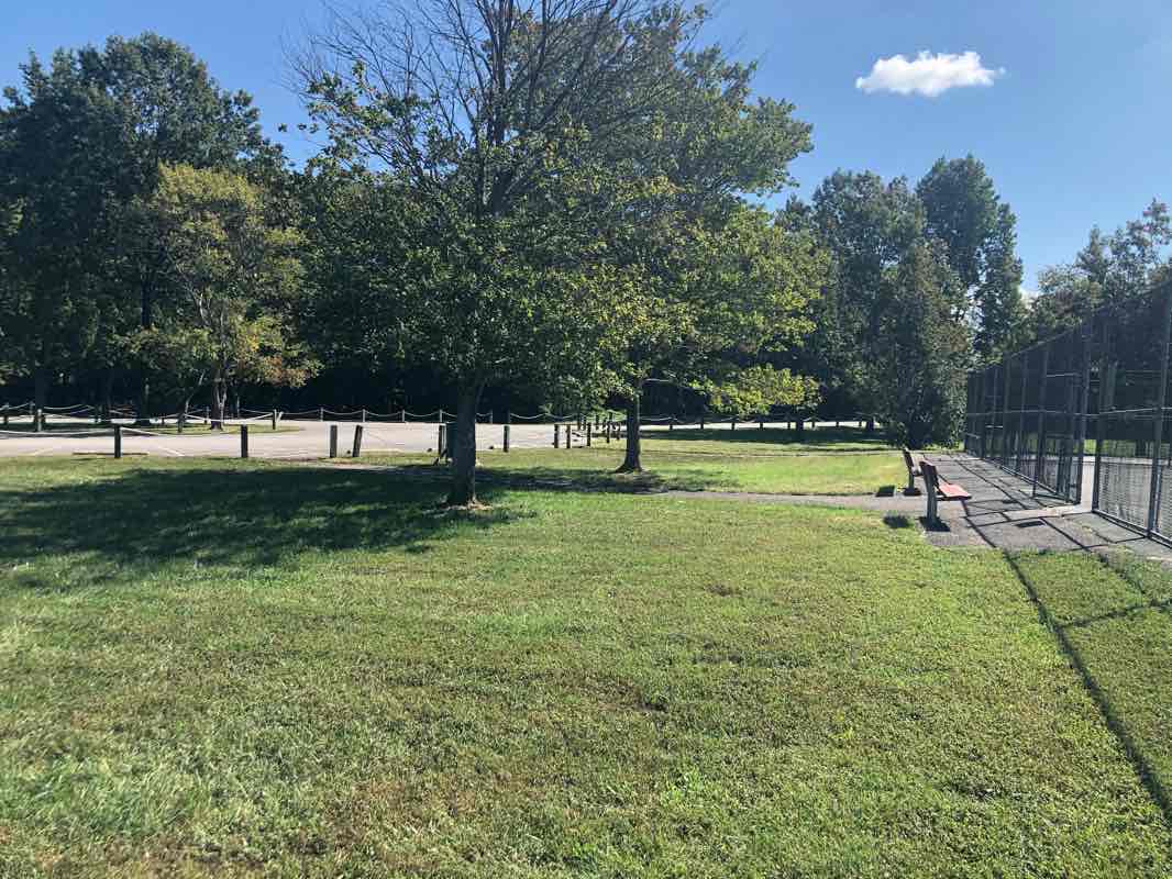 walking near me in Muddy Hole Farm Park in winter