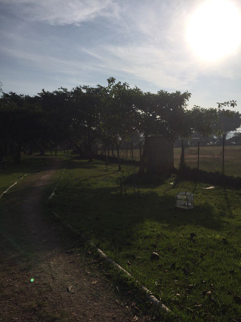 walking near me in Praça Ourinhos in summer