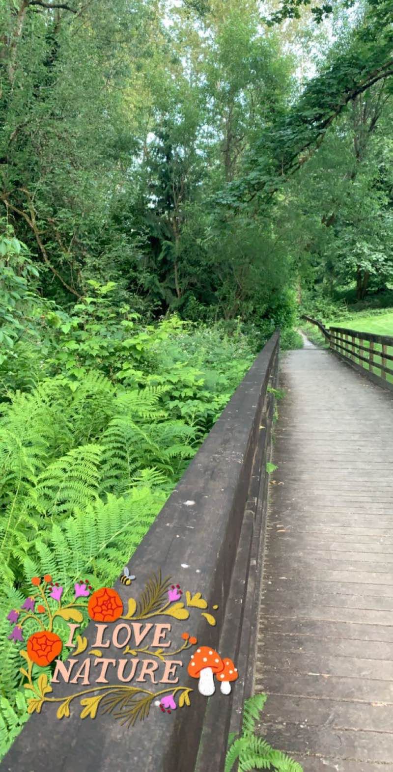 walking near me in Lake Fenwick Park in winter