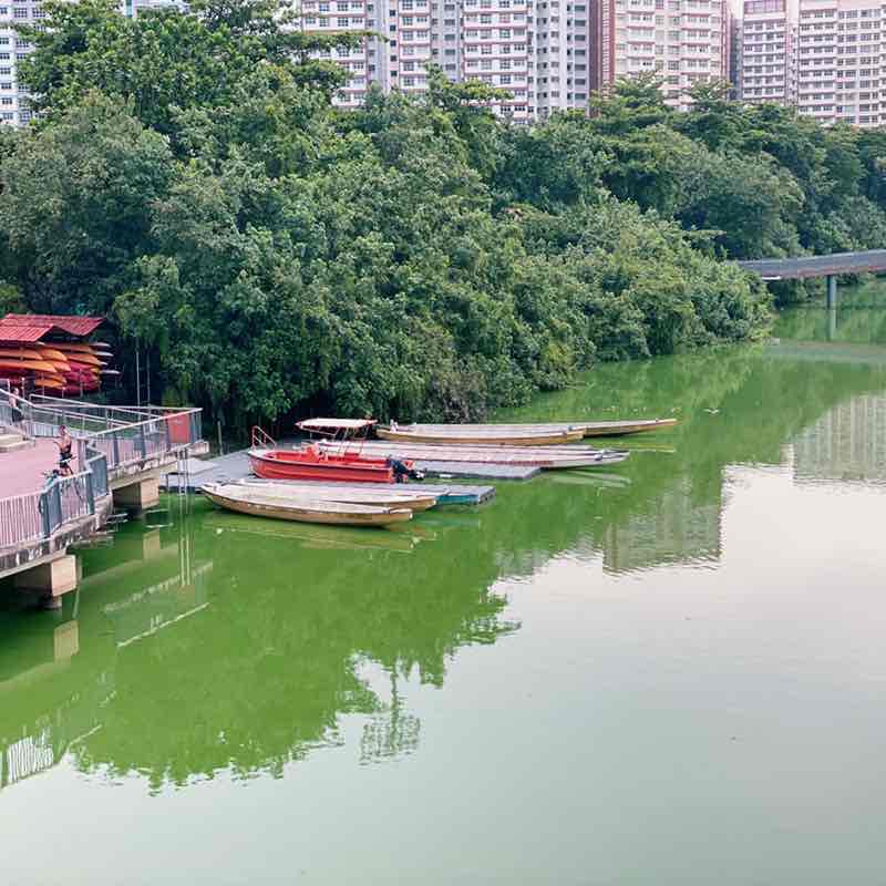 Yanhua post 2
