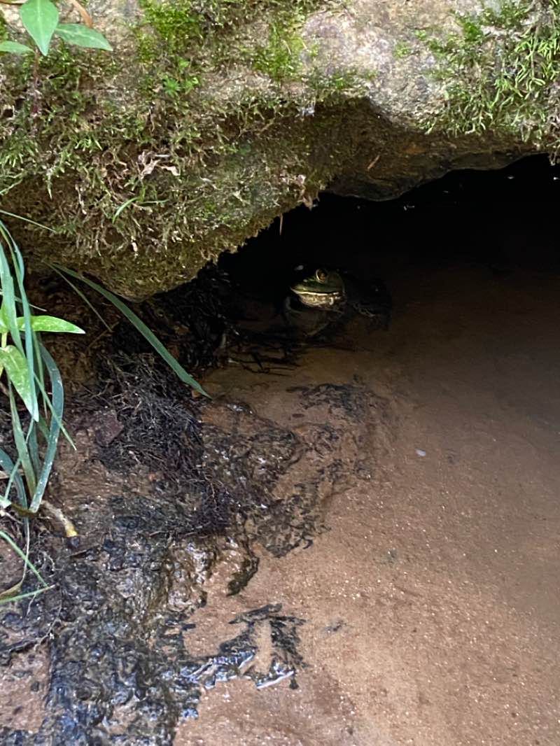 walking near me in Victoria Bryant State Park in winter