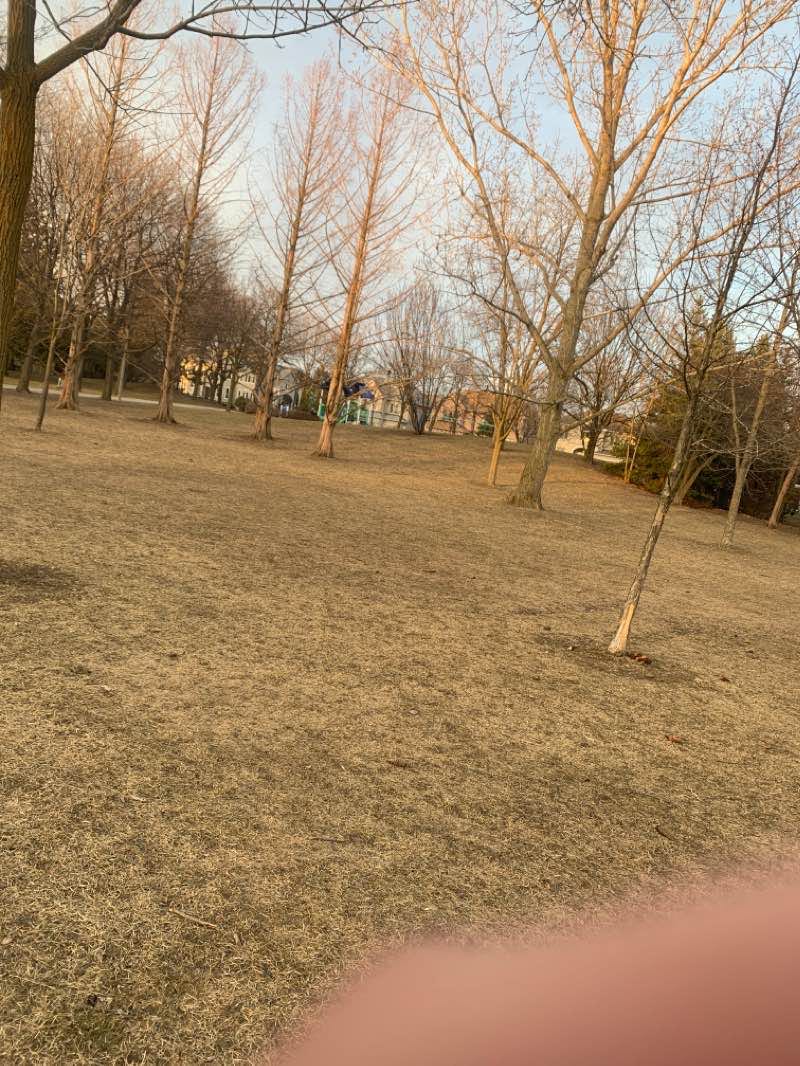 walking near me in Dr. James Langstaff Comunity Park in winter