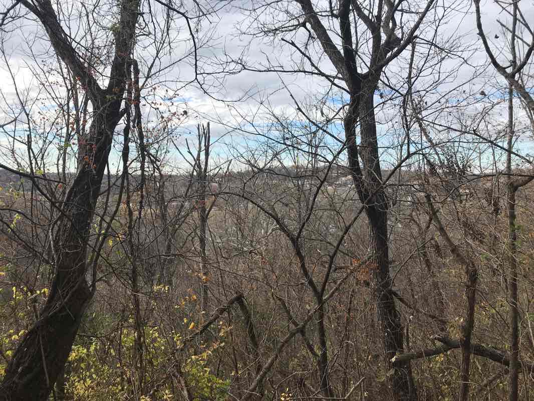 walking near me in Sodalis Park in winter
