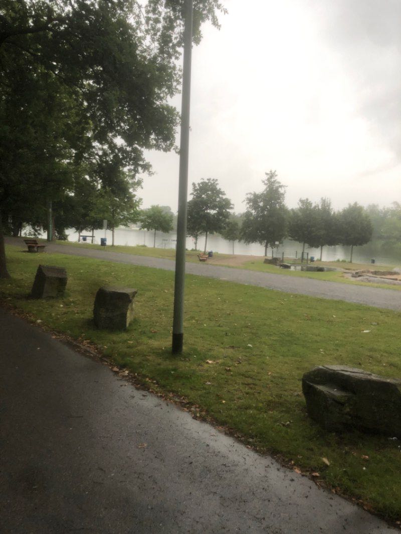 walking near me in Skulpturenwiese in winter