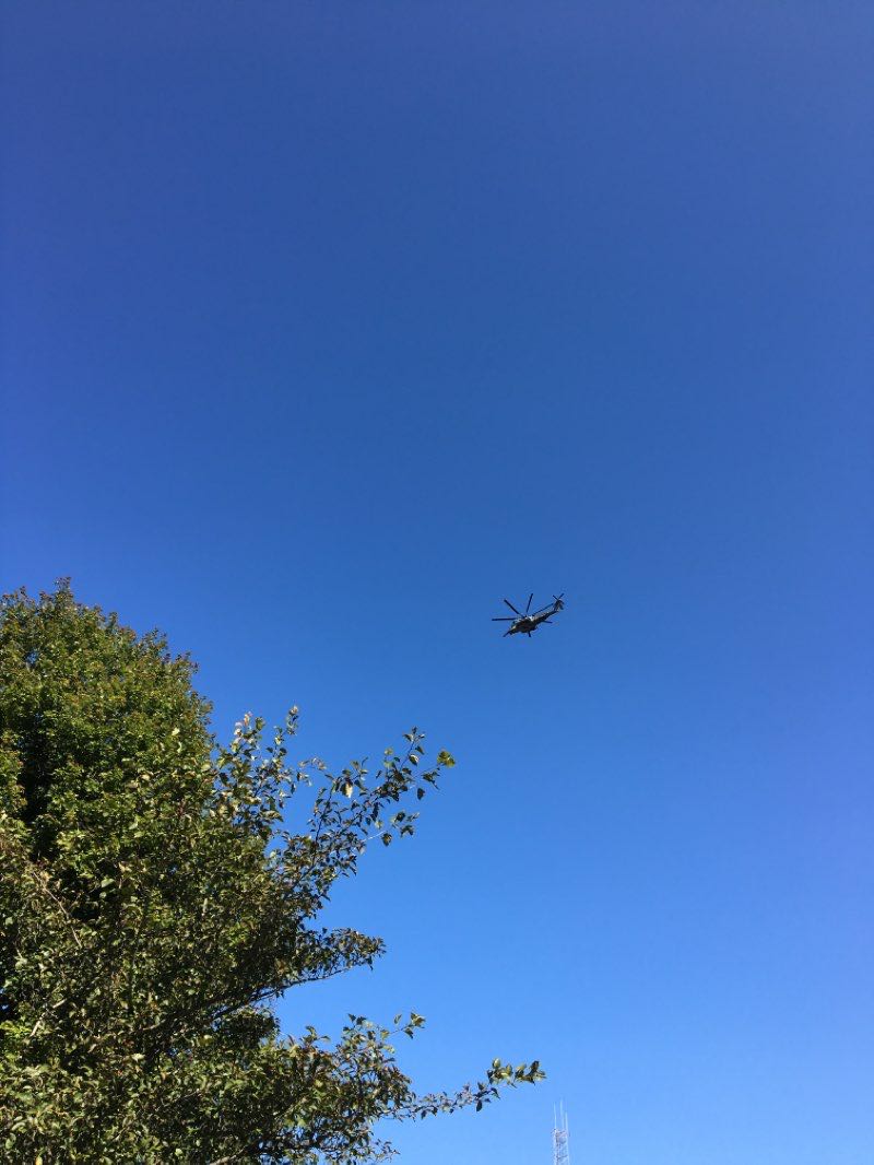 walking near me in Eskie Park in winter