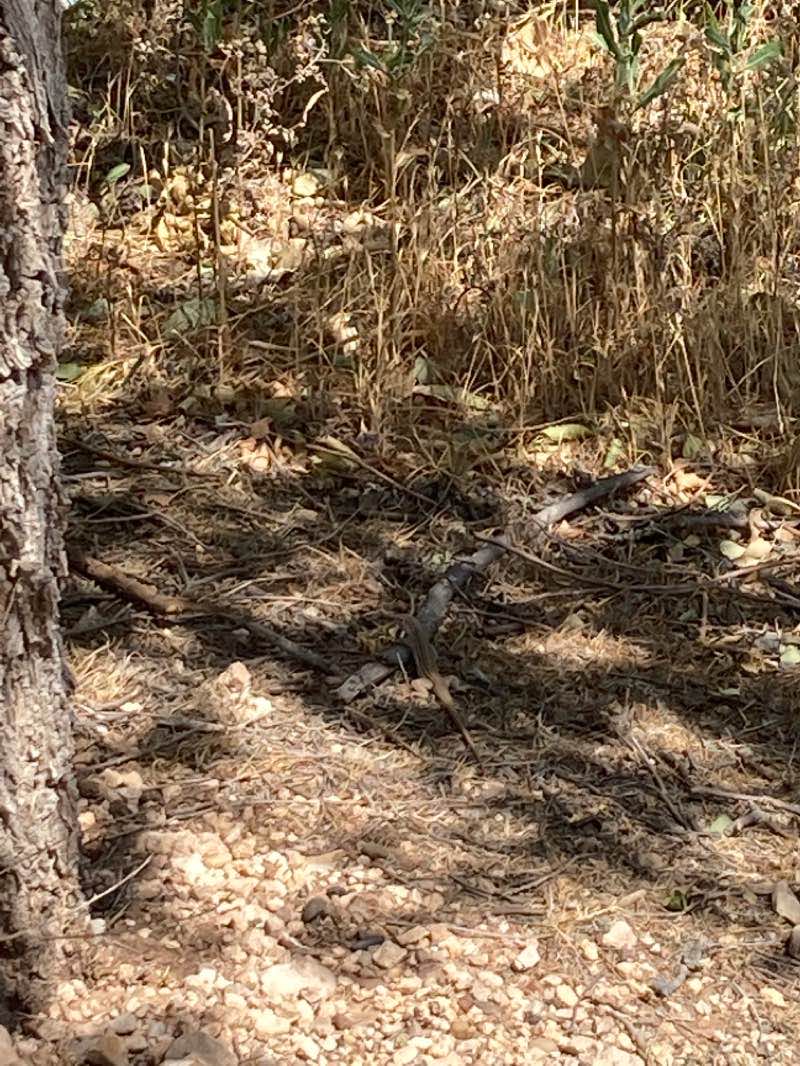 walking near me in Steve Haley Park in winter
