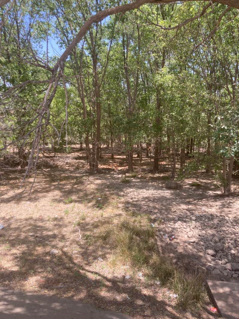 walking near me in Seminole City Park in winter