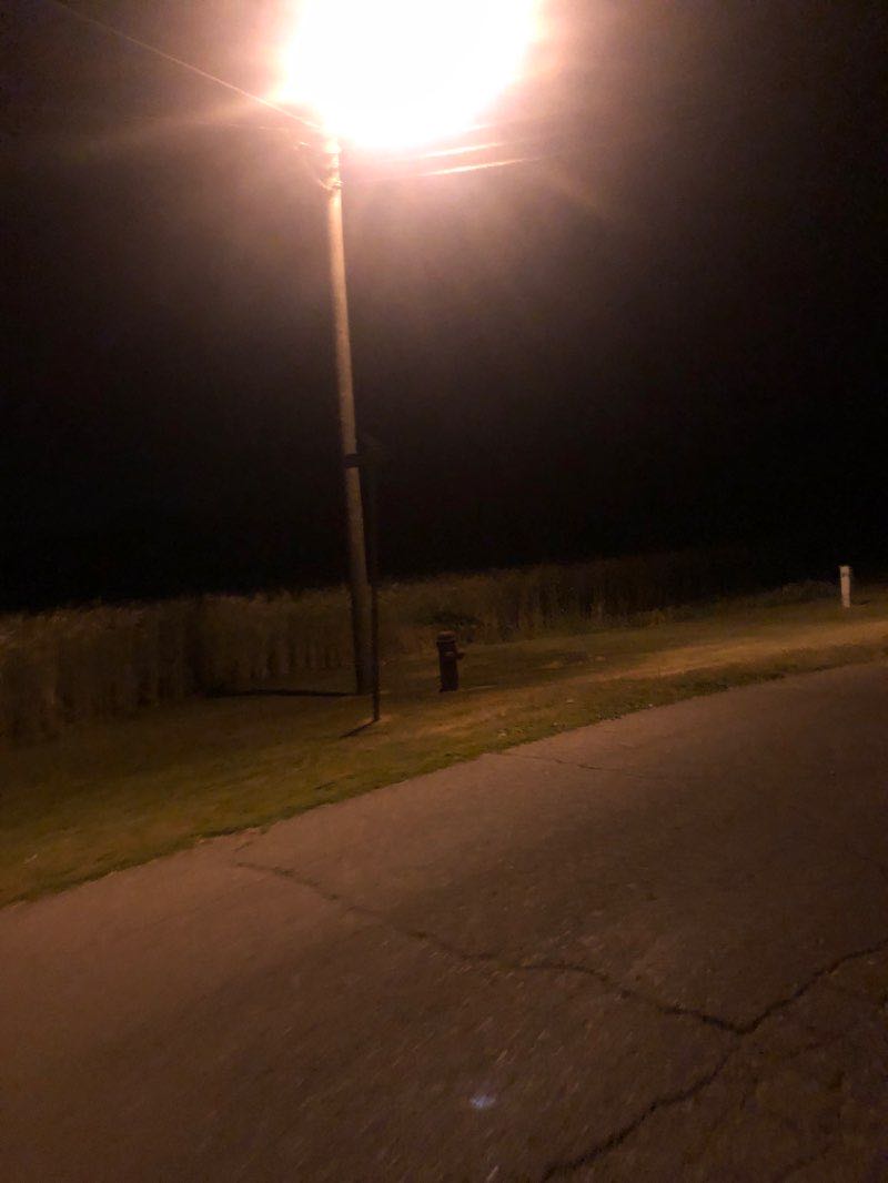 walking near me in Wakefield Park in winter