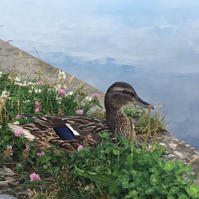 Виктория post 1