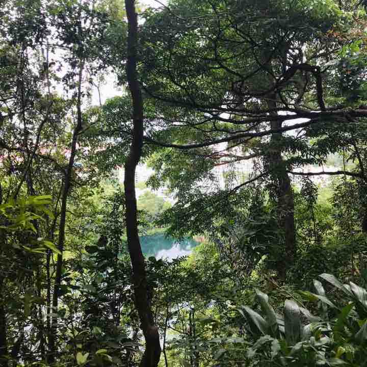 Yumin Primary School Noor Hidayah post image