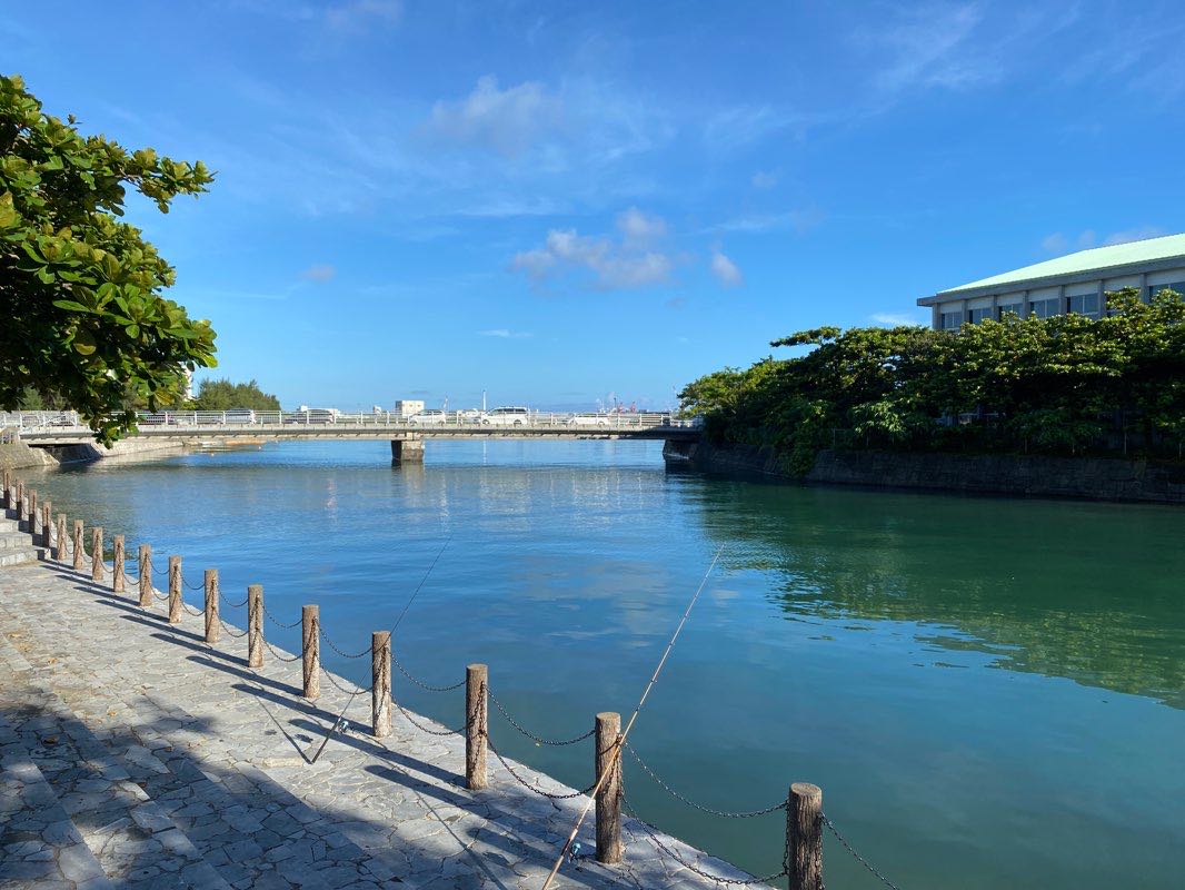 walking near me in Aja Ryokuchi Park in winter