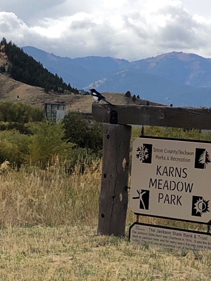 walking near me in Karns Meadow in winter