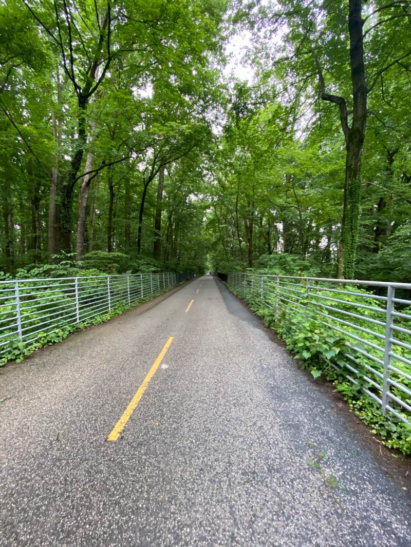 walking near me in Little Falls Stream Valley Park in winter