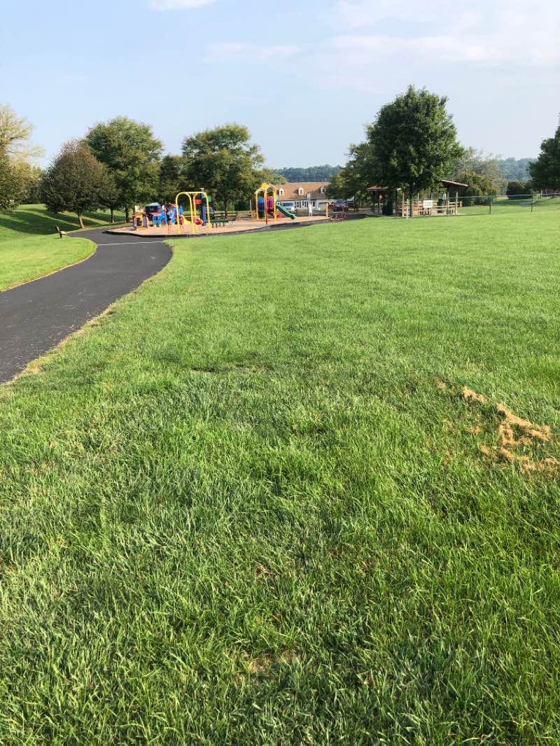 walking near me in Wolgemuth Park in winter