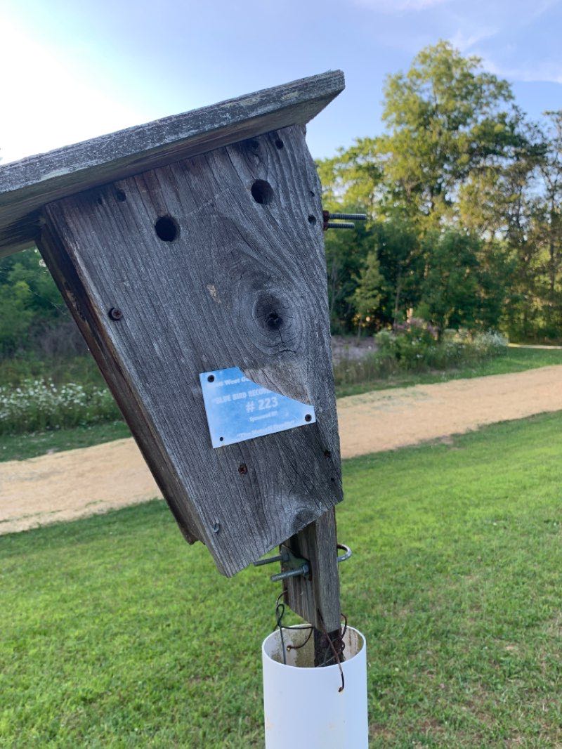 walking near me in Orchard Hills Park in winter