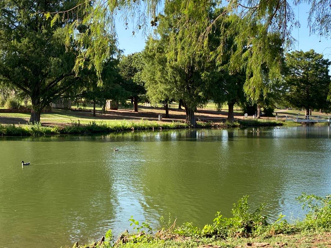 walking near me in Shannon Springs Park in winter