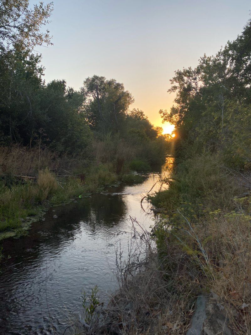 walking near me in Almaden Lake Park in winter