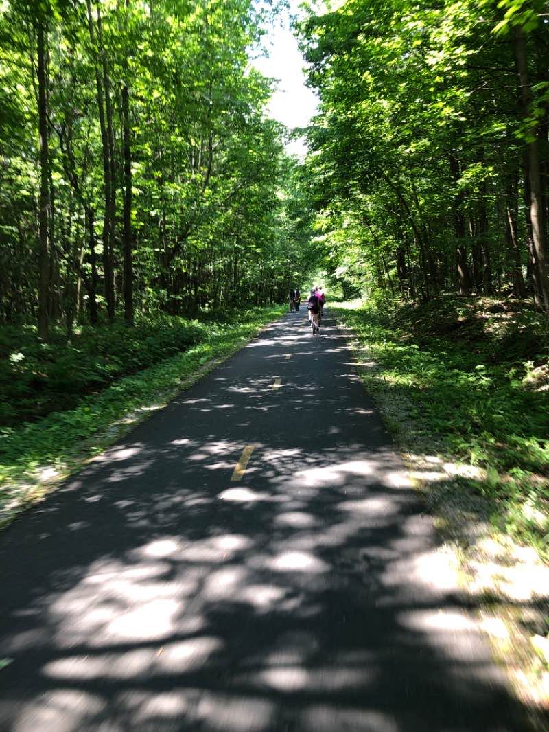 walking near me in Parc Robinson in winter