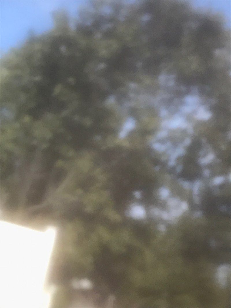 walking near me in Manahawkin Lake Park in winter