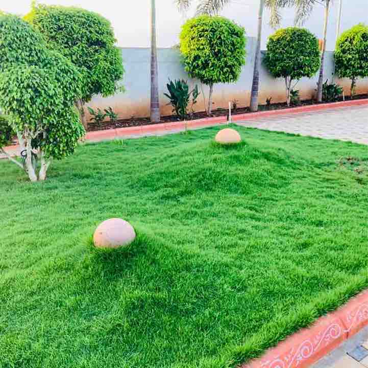 Walking club 🚶 Md Rafi post image