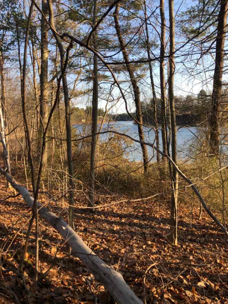 walking near me in Hilton Park in winter