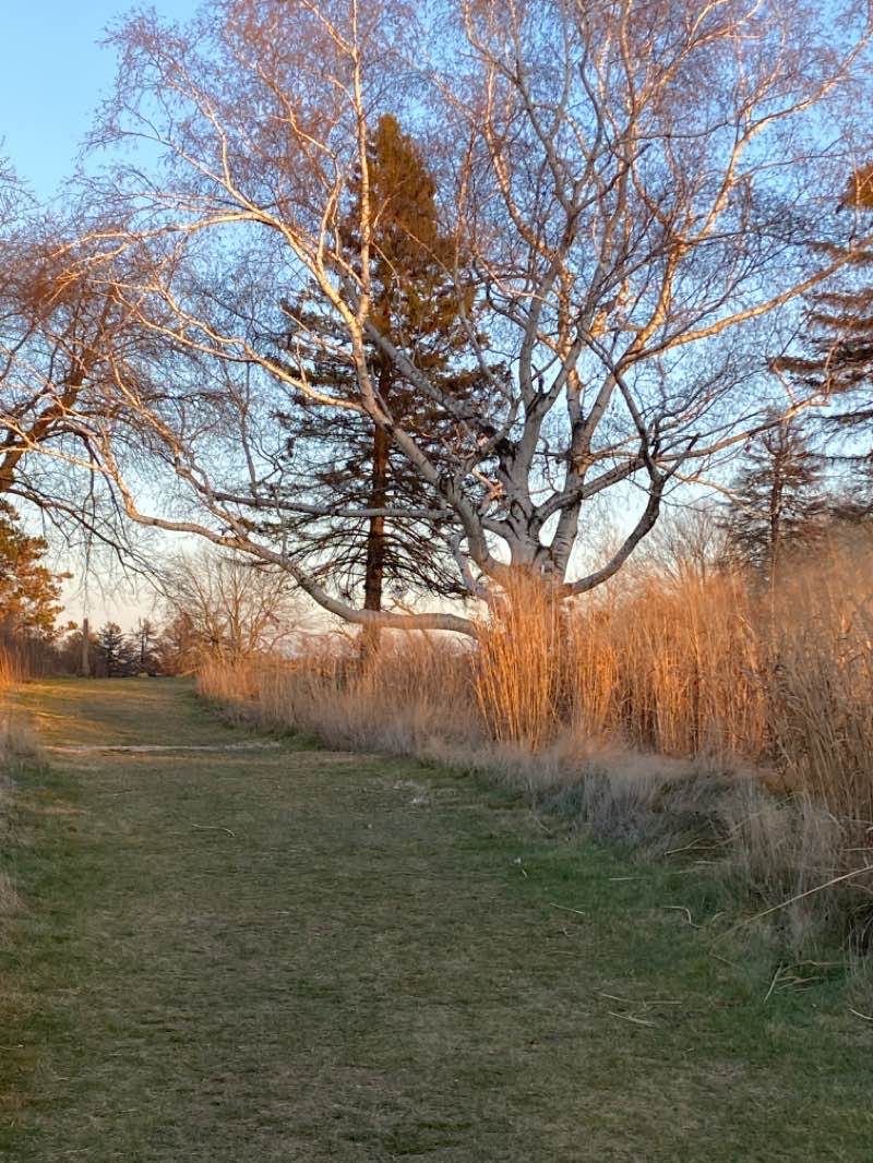 walking near me in The Highlands in winter