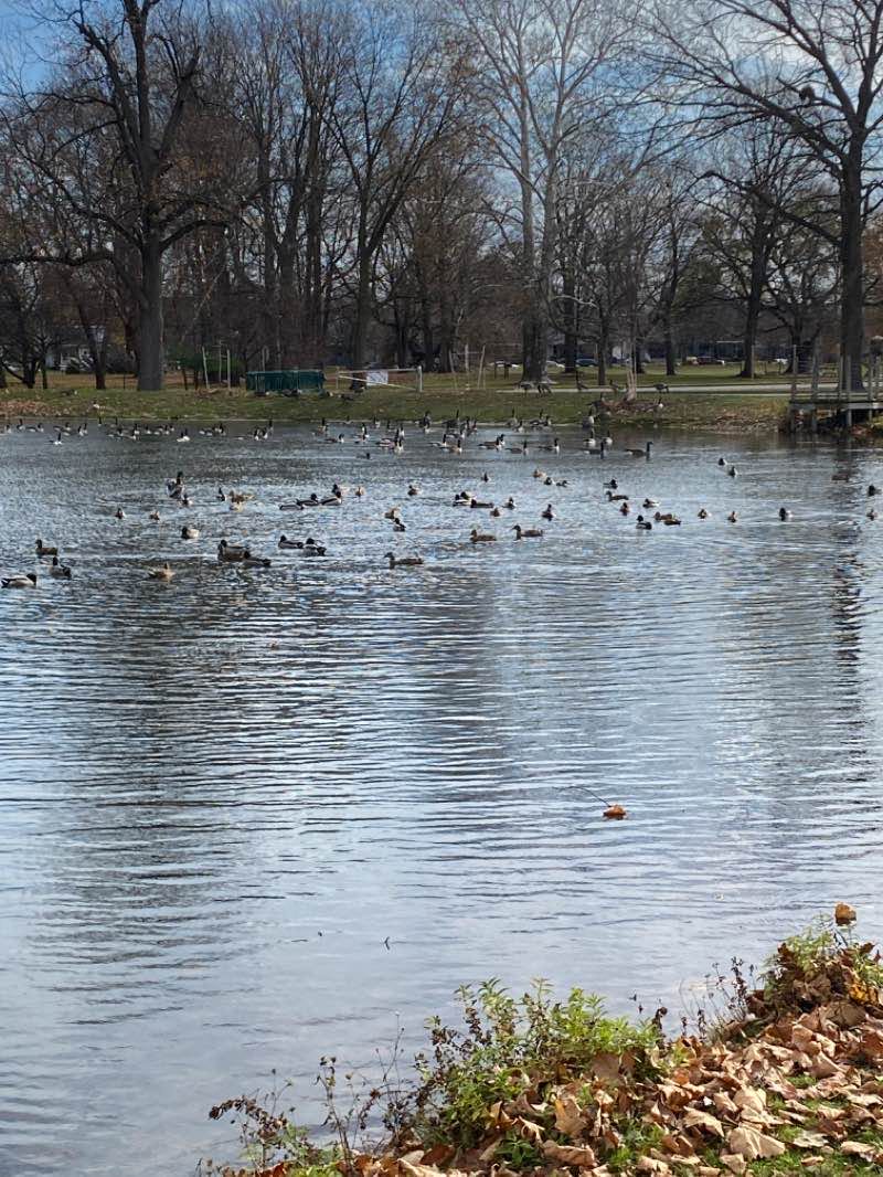 walking near me in John Ball Park in winter