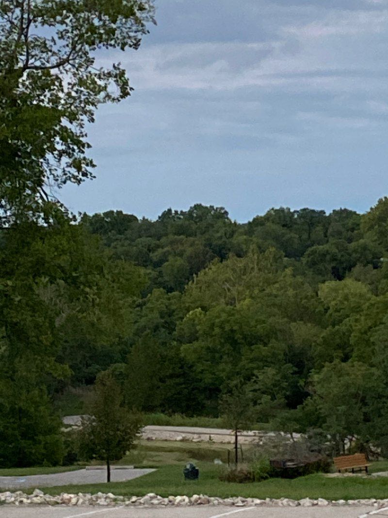 walking near me in Queeny Park in winter