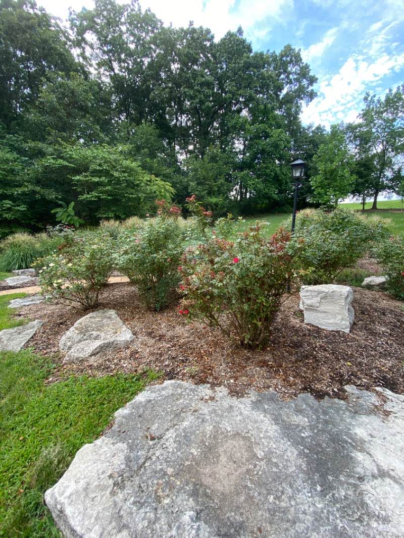 walking near me in Twin Oaks Park in winter
