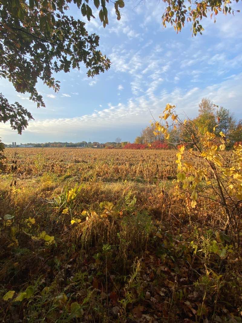 walking near me in Spring Grove Park in winter