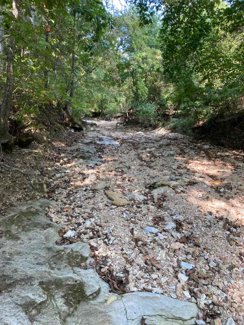 walking near me in Bluebird Park in winter