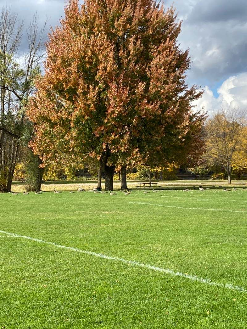 walking near me in Grotto Park in winter