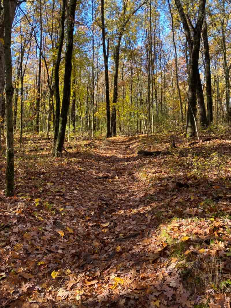 walking near me in Seidman Park in winter