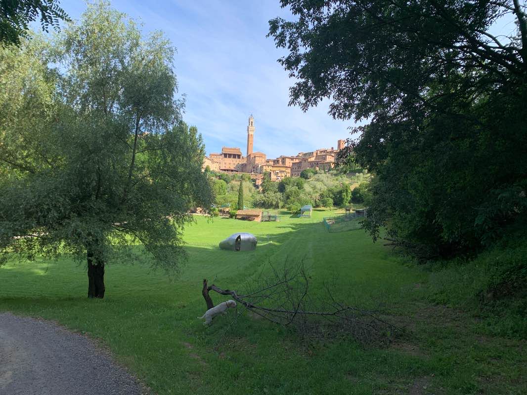 walking near me in Parco dell'Orto dei Pecci in winter