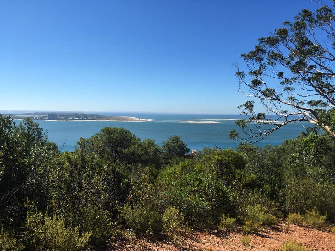 walking near me in Parque Urbano de Albarquel in winter