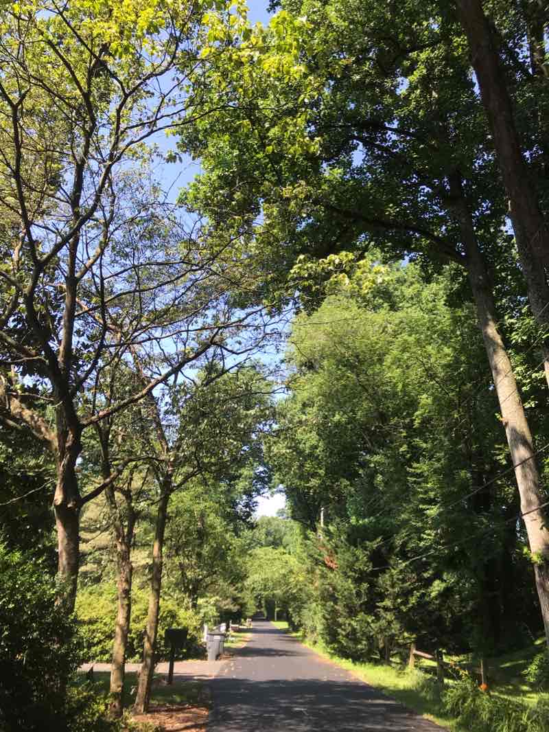 walking near me in Blake Lane School Site Park in winter